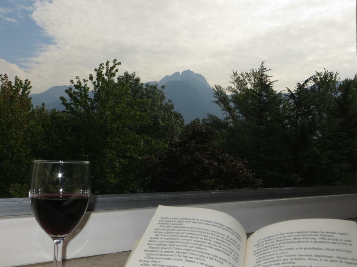 Panoramico Lungopassirio Apartment Merano